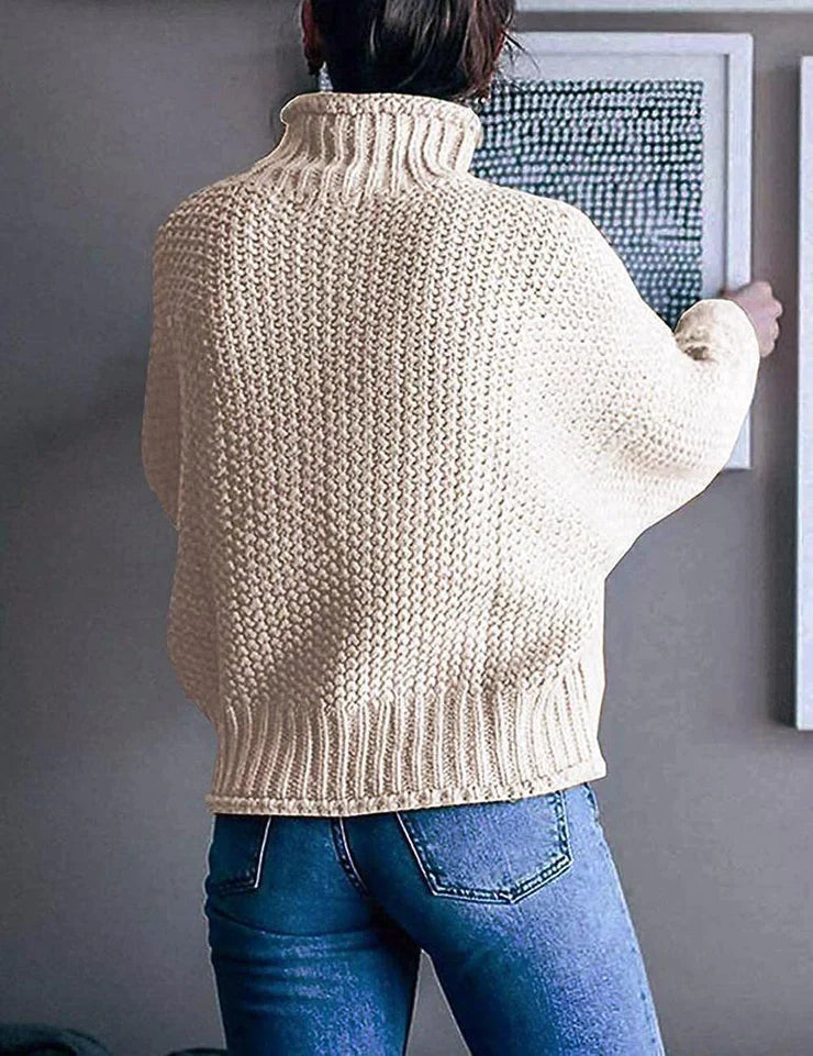 Ani | Hochgeschlossener Pullover